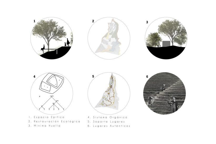 02_HABN Principios Rectores