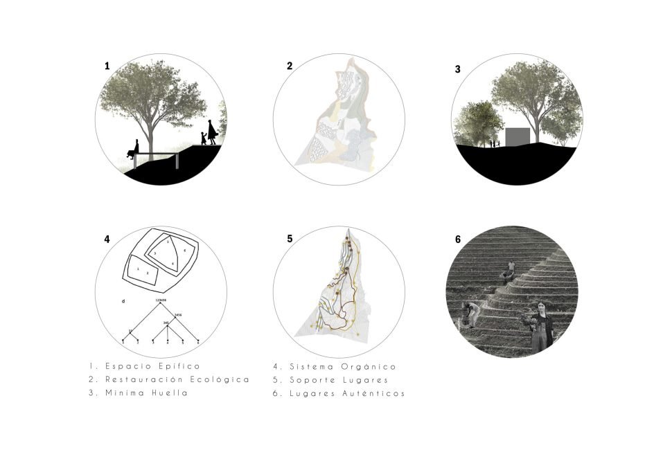 02_HABN Principios Rectores