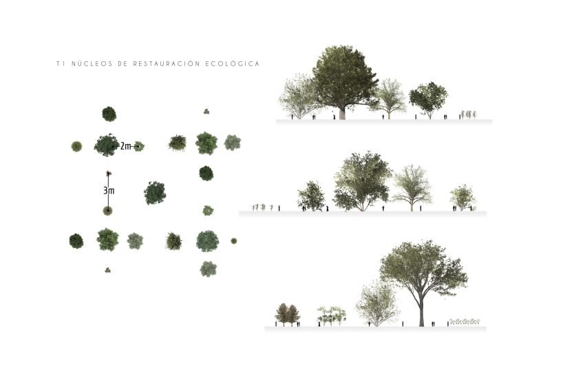 14_HABN Núcleos de Restauraciónjpg