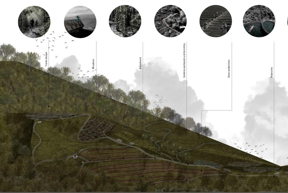 22_HABN SIstema Vial